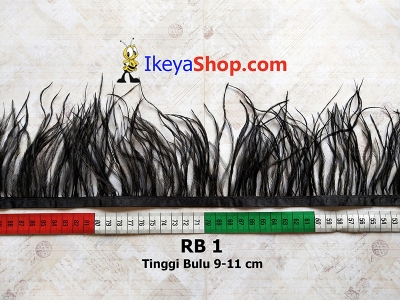 RB 1  large2